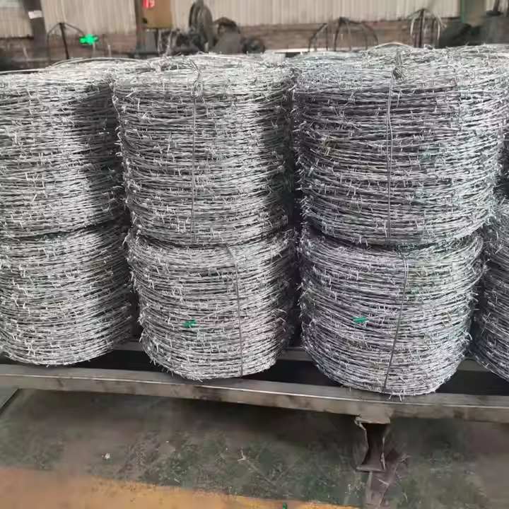 Galvanized Barbed Wire